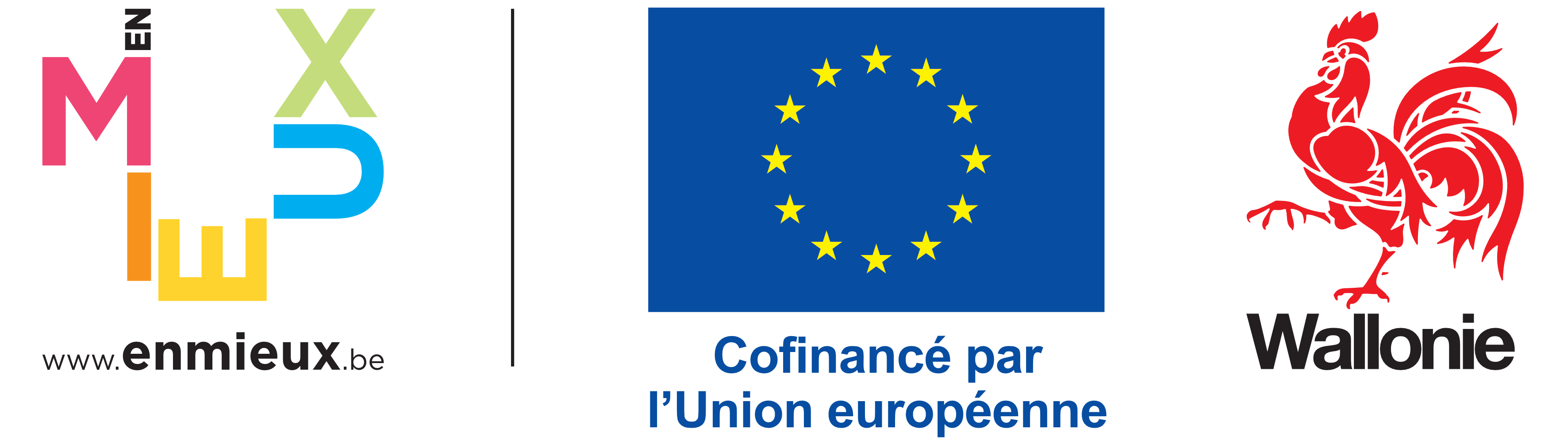 Europe et Wallonie
